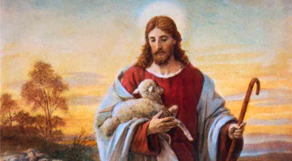 Ogłoszenia parafialne – 10.08.2025r.